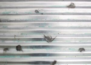 oluklu metal cati kaplama eskitme yapilirken nelere dikkat etmeli